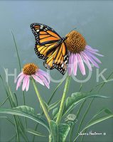 Hi-Look Microfiber Cleaning Cloth - Butterflies