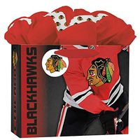 Turner Licensing Sport Chicago Blackhawks Medium Gogo Gift Bag (8932030)