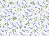 Lavender Fields Purple & Green Floral Tissue Paper Gift Wrapping 20"x30" Sheets (20)