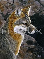 Hi-Look Microfiber Cleaning Cloth - Grey Fox Portrait