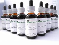 Echinacea Herb Liquid Extract - Alcohol Free (2 Fl. Oz.) Immune Support for Cold & Flu