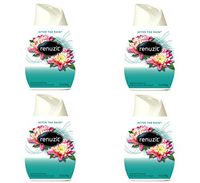 Renuzit 03663 Adjustables Air Freshener, After the Rain Scent, Solid, 7 oz (Case of 12)