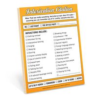 Knock Knock Intoxication Citation Nifty Note, Checklist Memo Pad, 4 x 5.25-inches