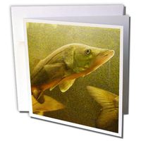 3dRose The Elusive Snook - Greeting Cards, 6 x 6 inches, set of 12 (gc_13991_2)
