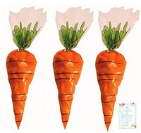 36 Carrot Cellophane Favor Treat Bags (with Party Planning Checklist)
