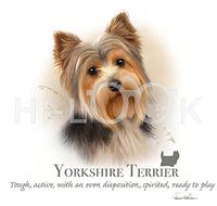 Hi-Look Microfiber Cleaning Cloth, dog design - Yorkshire Terrier