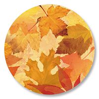 Full-Color Autumn Falling Leaves Seals, 140 Count