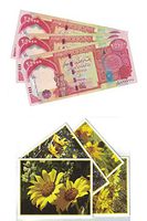 75,000 Uncirculated Iraqi Dinar 25,000 x 3 Iraq Currency 2014 Series 25K New IQD