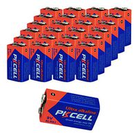 24 Pieces Dry Battery 6LR61 9V Alkaline Battery,6F22 Replacement Battery for Thermometer.