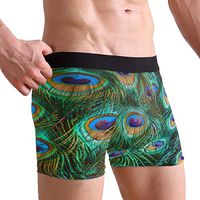 WXLIFE Tropical Animal Peacock Feather Boxer Briefs Men's Underwear for Men Boy