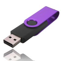 Creazy® 2GB Swivel USB 2.0 Metal Flash Memory Stick Storage Thumb U Disk (Purple)