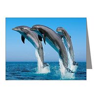 Note Card Dolphins Dancing