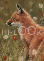 Hi-Look Microfiber Cleaning Cloth - Little One Red Fox Kit