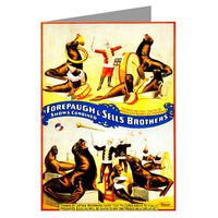 Circus Poster of Trained Seals by Captain Woodward c1899 Notecard set