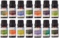 Pursonic 100% Pure Essential Aromatherapy Oils Gift Set-14 Pack - 10ML