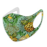 Mouth Masks for Dust Protection Anti Face Mask Washable Earloop Mask Pineapple