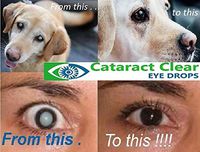 Proven Cataract Treating Eye Drops for People & Pets. Contains 4.2% N-Acetyl-Carnosine, Making Them Over 4 Times Stronger Than Most Other N.A.C. Based Eye Drops.