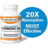 Turmeric 95, by Natural Wellness, Offers a Highly absorbable Turmeric and BioPerine® Combination - 60 vcaps