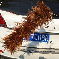 GXMTB Car Feather Duster, Household Cleaning and Dust Dust Dusted
