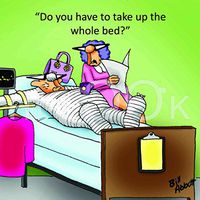 Hi-Look Microfiber Cleaning Cloth - whole bed