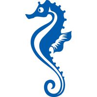 ANGDEST Seahorse (Azure Blue) (Set of 2) Premium Waterproof Vinyl Decal Stickers for Laptop Phone Accessory Helmet Car Window Bumper Mug Tuber Cup Door Wall Decoration