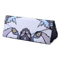 Koala Pattern Fashion Glasses Case