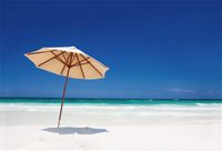 Baocicco Sunlight Sand Beach Umbrella 7X5ft Vinyl Backdrop Tropical Seaside Summer Holiday Blue Skyline Background Coastal Leisure Vacation Nature View Adults Kid Photo Portrait Props