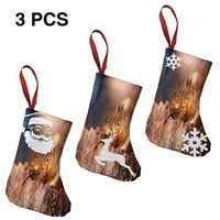 Christmas Stockings Gift Bag Squirrel Search Food Stylish for Funny Xmas Party