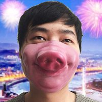 BBFairy Funny Fun Mask Big Lips Headgear Pet Funny Mask - Halloween Festival Costume Horrible Mask Thrill Decorative Cosplay Christmas Party Masks (A)