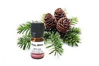 Pine 100% Pure Essential Oil, 5ml