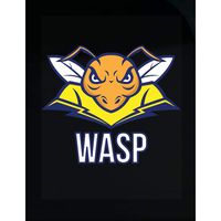 Stuch Strength LLC Funny Wasp - Angry Face with Wings - Insect Humor - Transparent Sticker