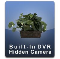 PalmVID DVR PRO Silk Plant Hidden Camera with Built-In DVR