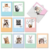 10 Assorted Funny Greeting Cards with Envelopes 4 x 5.12 inch - Blank ‘Feline Graffiti' Kitten and Cat Note Cards for All Occasions - Appreciation Notecards M6583OCBsl