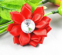24pc Satin The Ribbon Flowers with The Appliques Craft DIY Wedding to(Pick Color (Red)