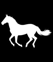 Horse Vinyl Decal Sticker | Cars Trucks Vans Walls Laptops Cups | White | 5.5 X 3.6 Inch | KCD1752