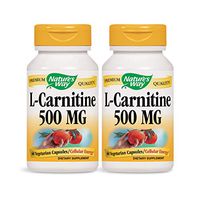 Nature's Way Premium Quality L-Carnitine 500 MG, 60 Vegetarian Capsules, Pack of 2