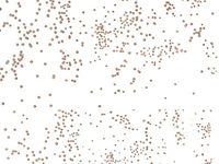 Pack Of 100, 5 X 3 X 11" Gold Sprinkles Classic Print Cello Bags 1.2 Mil 5 Cups Made In USA