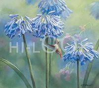 Hi-Look Microfiber Cleaning Cloth, bird design - Allen's in Agopoanthus - Hummingbird