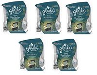 10 Glade PLUGINS SCENTED OIL REFILLS Warm Flannel Embrace Limited 5 Twin Packs