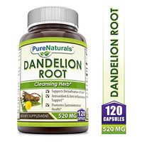 Pure Naturals Dandelion Root Dietary Supplement 520 Mg 120 Capsules- Supports Detoxification of Liver* Antioxidant & Anti-Inflammatory Support* Promotes Gastrointestinal Health*