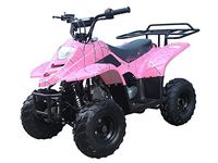 110cc ATV Four Wheelers Fully Automatic 4 Stroke Engine 6 Inch Tires Quads for Kids - PRETTY PINK SPIDER