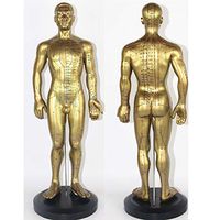 BIUYYY 50CM Copper Human Acupuncture Model Pressure Point and Meridians - for Acupuncturists and Other Medical Professionals