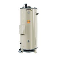 AO Smith BTN-250 Tank Type Water Heater with Commercial Natural Gas