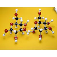 CANVAS ON DEMAND Glucose Isomer Models Wall Decal, 60"x45"