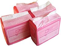 48 Diapers - DC Amor - Medium/Large - All Pink Theme! Plastic-Backed Adult Baby (Large)