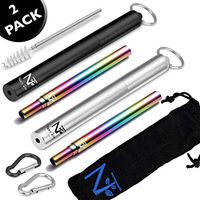 Metal Straw Collapsible Reusable Set - Best Drinking Straws with Cleaning Brush Aluminium Case Keyring Carry Bag 2 PACK 9 Inch Portable Ecofriendly Stainless Steel Metalstraw Rose Gold Dishwasher Safe