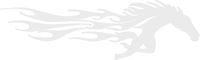 hBARSCI Horse with Flames Vinyl Decal - 5 Inches - for Cars, Trucks, Windows, Laptops, Tablets, Outdoor-Grade 2.5mil Thick Vinyl - White