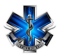 EMS Logo (U52) Vinyl Yeti Tumbler Decal Sticker Laptop/Netbook
