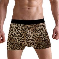 WXLIFE African Animal Leopard Print Boxer Briefs Men's Underwear for Men Boy