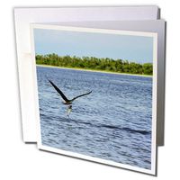 3dRose Osprey With Fish - Greeting Cards, 6 x 6 inches, set of 6 (gc_33226_1)